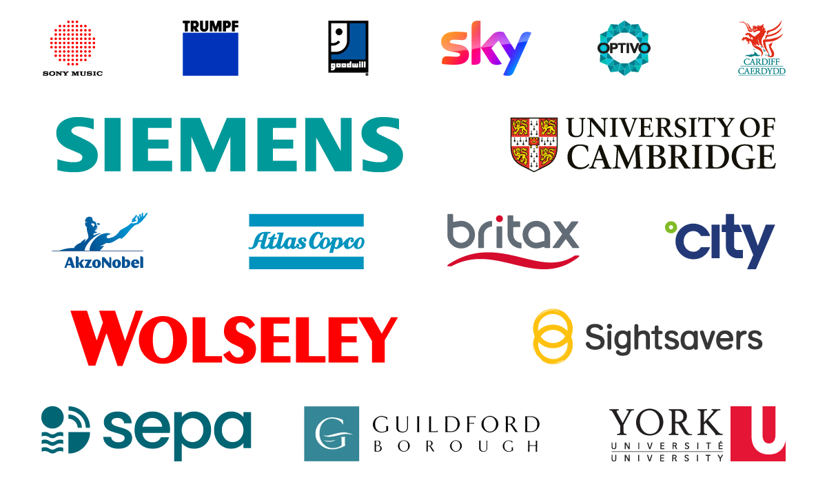 Trusted by teams worldwide