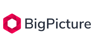 BigPicture logo