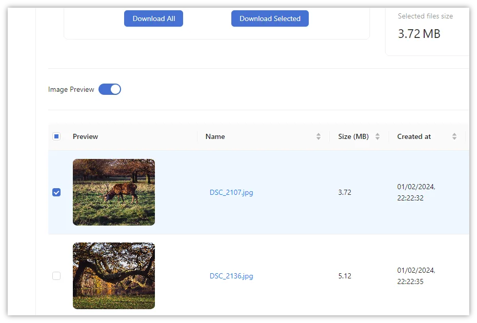 Downloading attachments with Attachment Manager for Asana