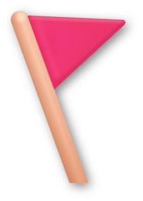 choose-the-right-customer-service-platorm-flag-300x415