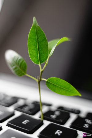 sustainability-in-itsm-seedling-300x450